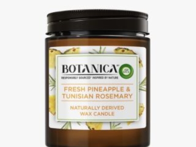 air_wick_botanica_wax_candle_fresh_pineapple_and_tunisian_rosemary-.jpeg