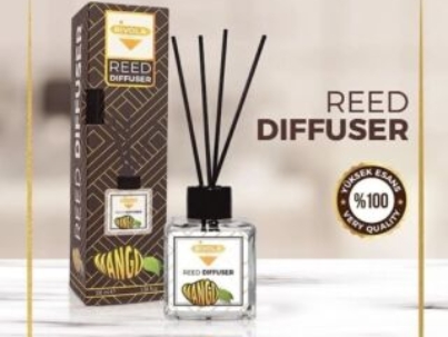 rivola_reed_diffuser_mango_100ml.jpg
